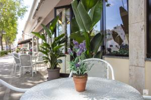 hotel fattori
