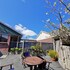 foreshore motor lodge