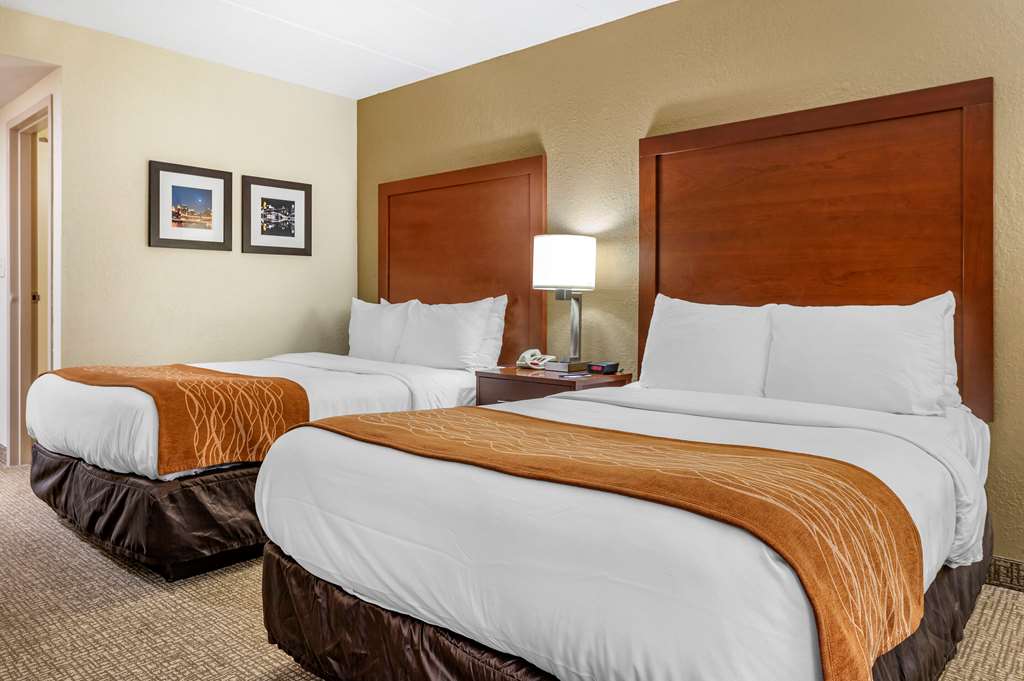 comfort inn northeast