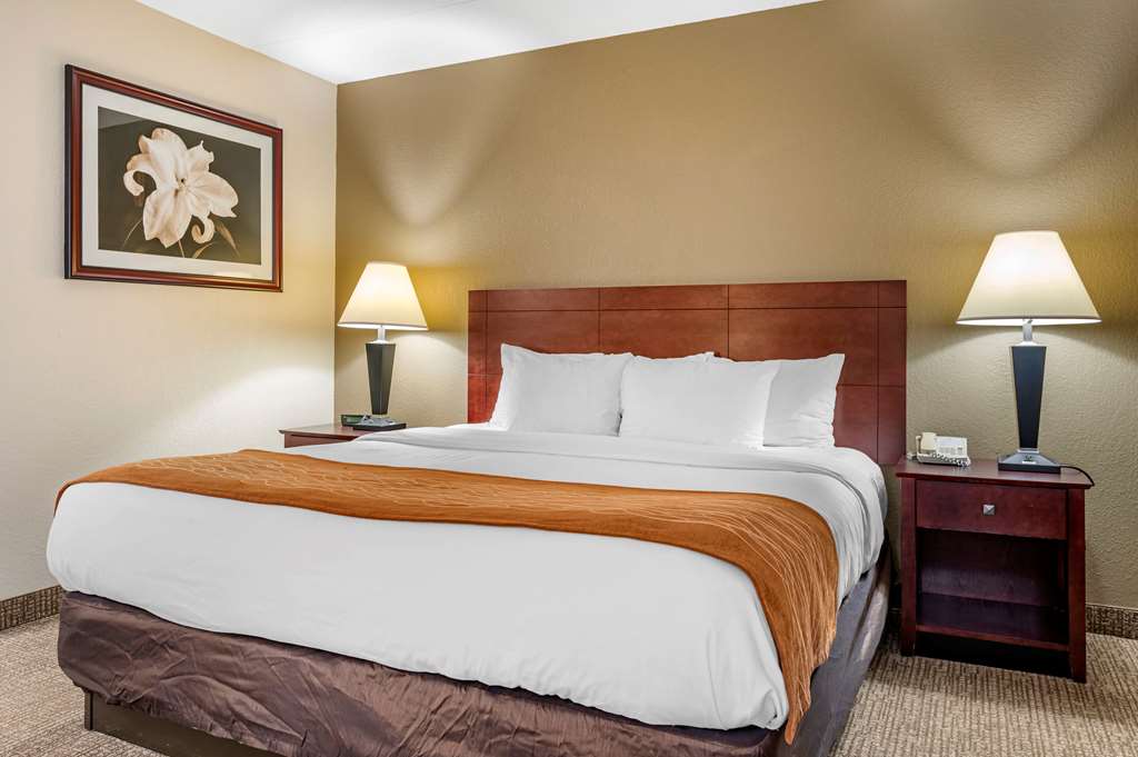 comfort inn northeast