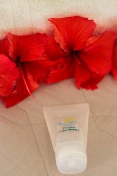 pousada leao marinho