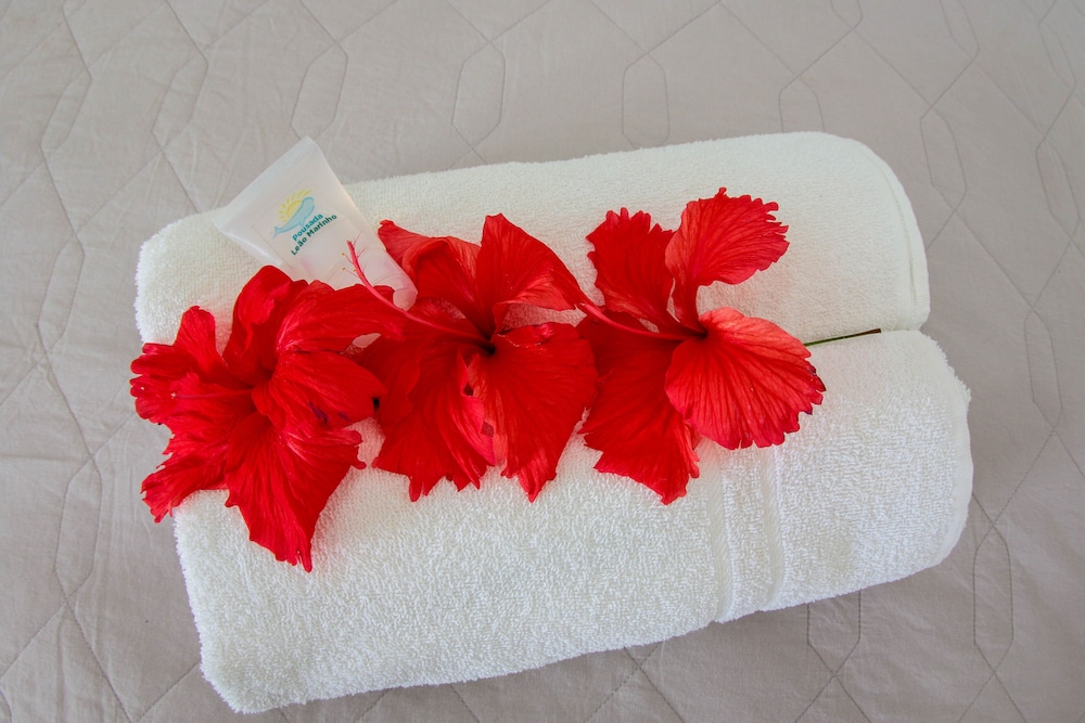 pousada leao marinho