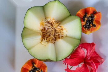 pousada leao marinho