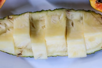 pousada leao marinho