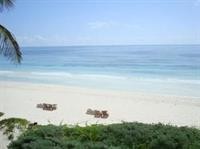 nueva vida de ramiro