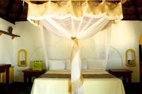 nueva vida de ramiro