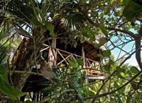 nueva vida de ramiro