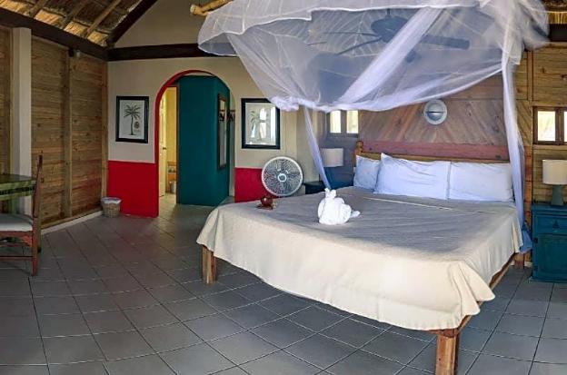 nueva vida de ramiro