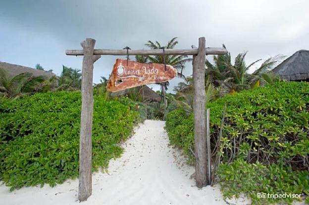 nueva vida de ramiro