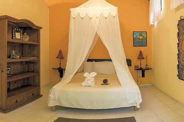 nueva vida de ramiro