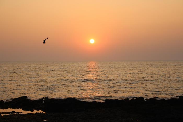 maria paulo guest house