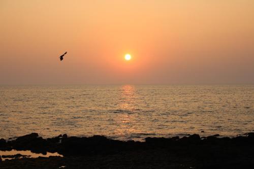 maria paulo guest house