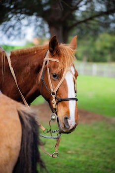 finca del sacramento