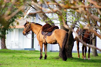 finca del sacramento