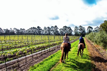 finca del sacramento