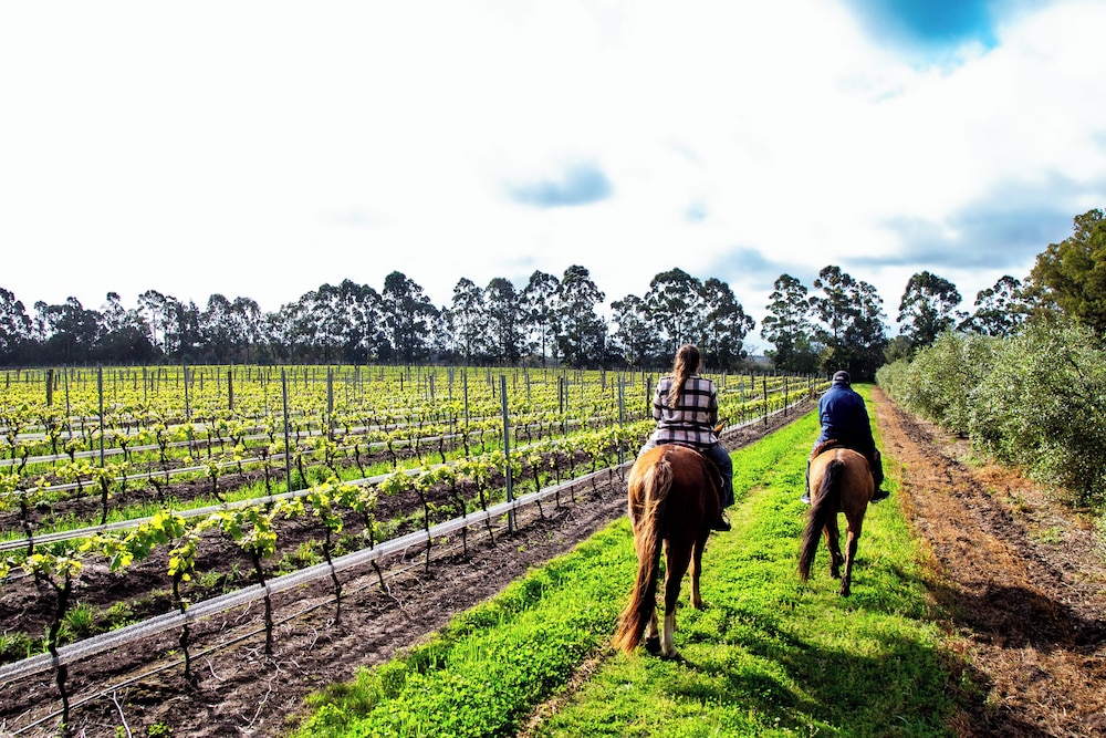 finca del sacramento