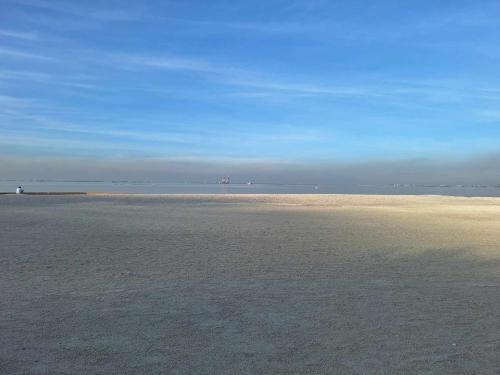 birch tower by tristoff