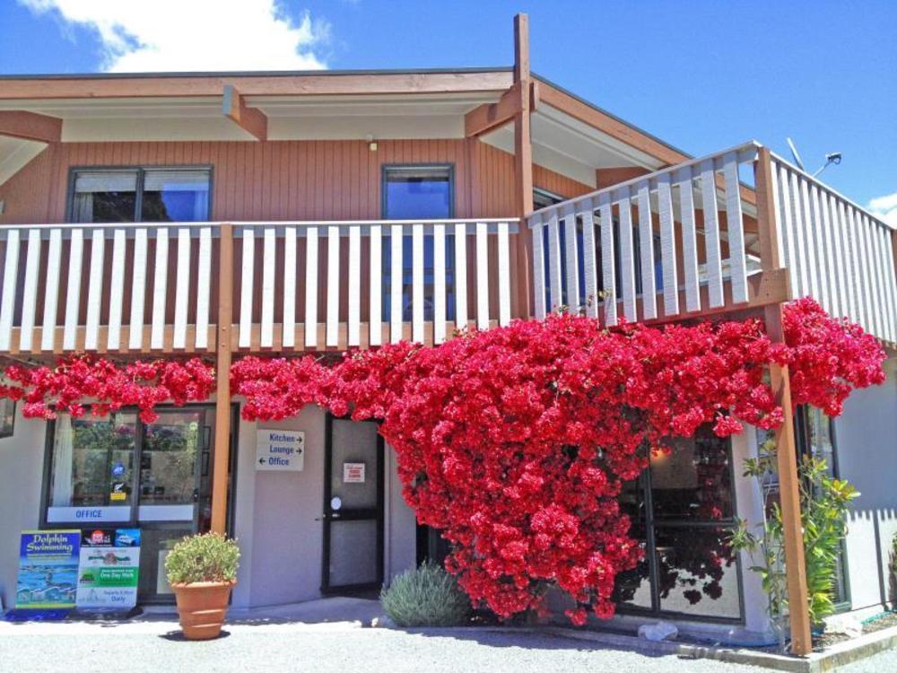 picton campervan park adults only