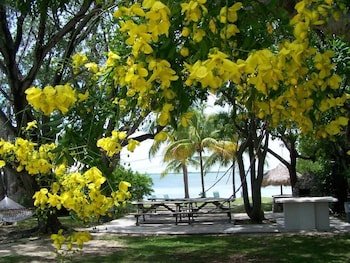 rock reef resort