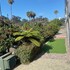 riverleaf inn mission valley