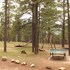 flagstaff