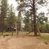 flagstaff