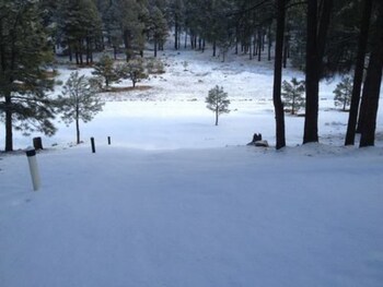 flagstaff