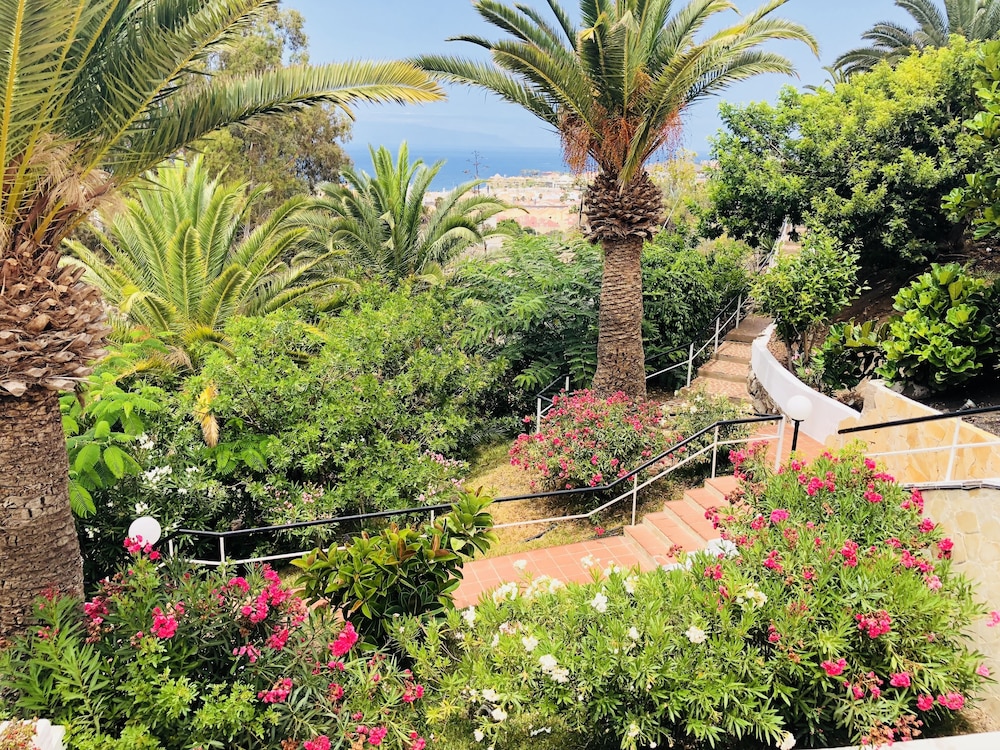 regency torviscas apartments suites