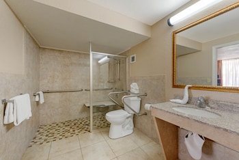 quality inn and suites conference center