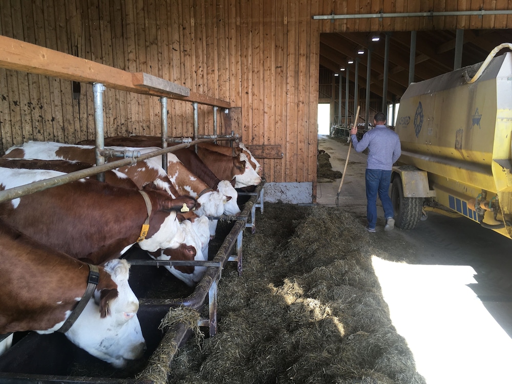 sankt michael im lungau