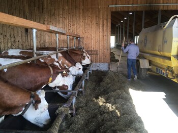 sankt michael im lungau