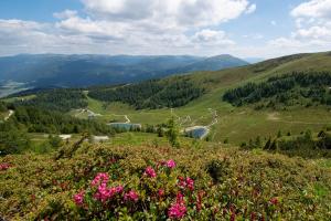 sankt michael im lungau