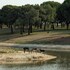 monte do lago