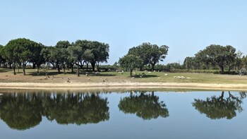 monte do lago