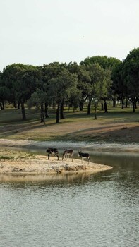 monte do lago