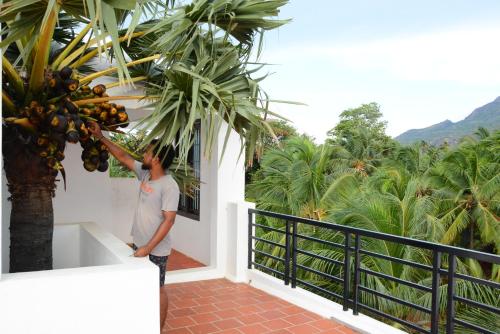 Claynest Resorts,,0 star