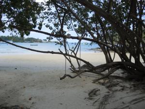 the c samet beach resort