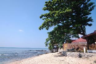 dream team beach resort