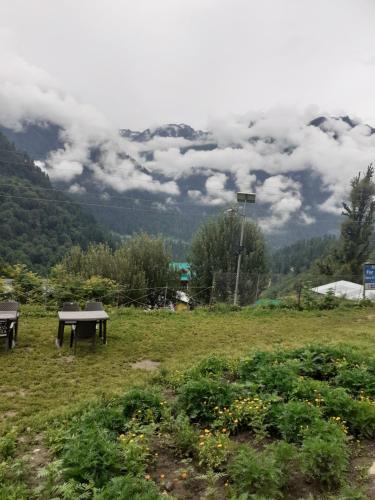 shiva mountain guest house and cafe