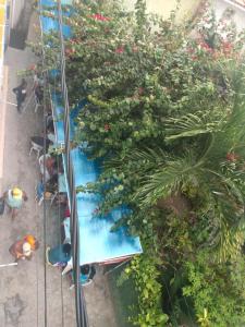 cairu