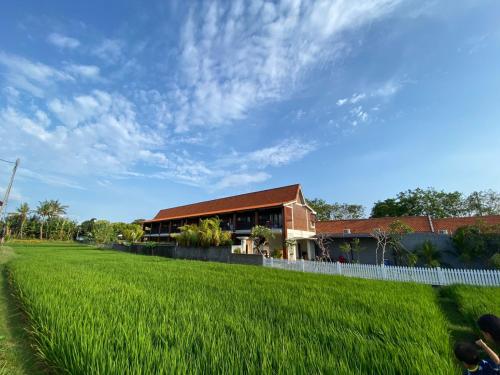 sunkiest house canggu