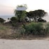 fonte da telha cliff house