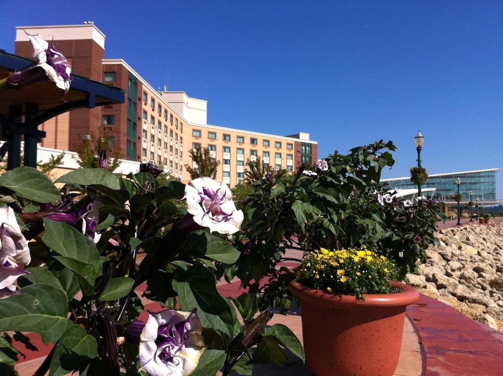 grand harbor resort and waterpark