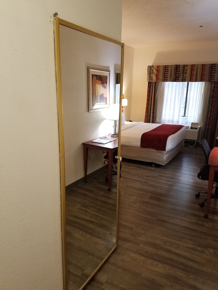 spark by hilton duluth