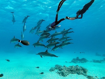 marsa shagra village