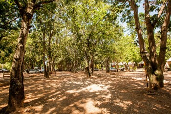 hotel fazenda mato grosso