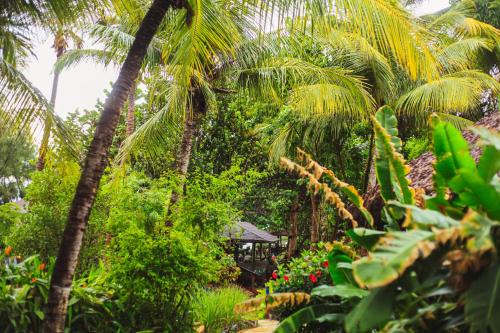 pousada ocas do indio