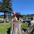 kaikoura seaside lodge