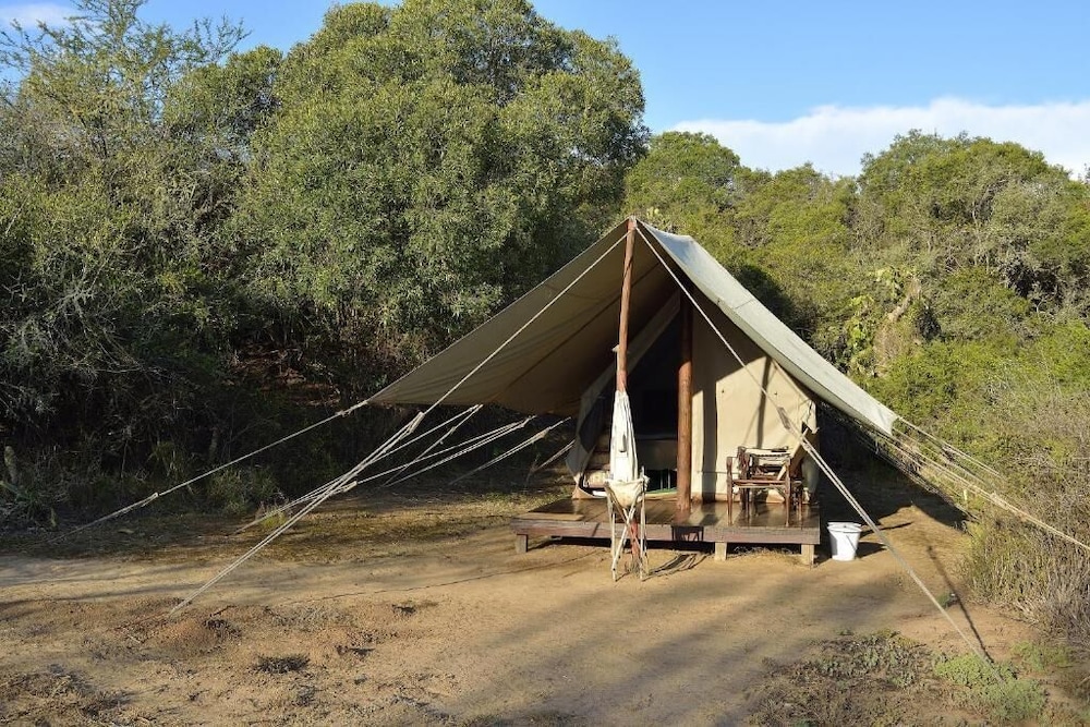 quatermains 1920s safari camp amakhala game reserve
