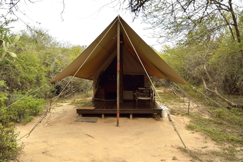 quatermains 1920s safari camp amakhala game reserve